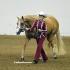 Palomino World Show